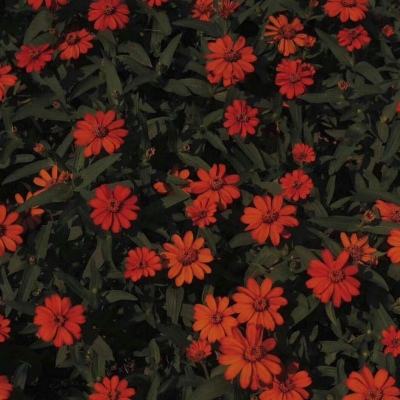 米乐m6网页版截图